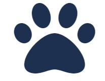 Pets & Animals